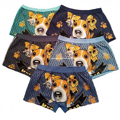 �����-������� �� ��������� "�����" � ������� ���������